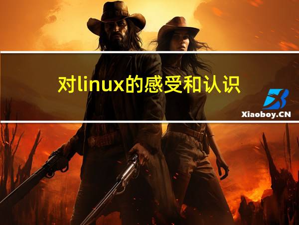 对linux的感受和认识的相关图片