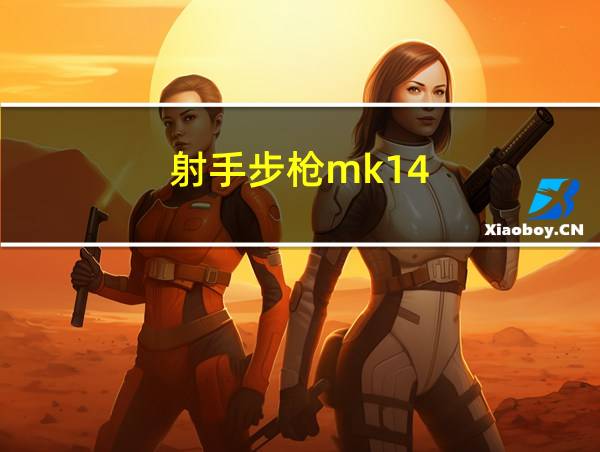 射手步枪mk14的相关图片