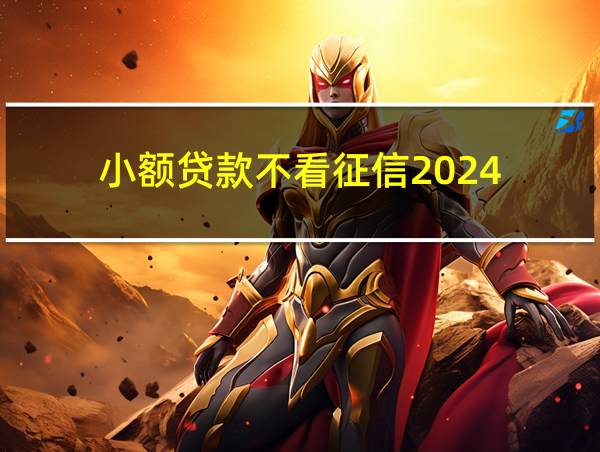 小额贷款不看征信2024的相关图片