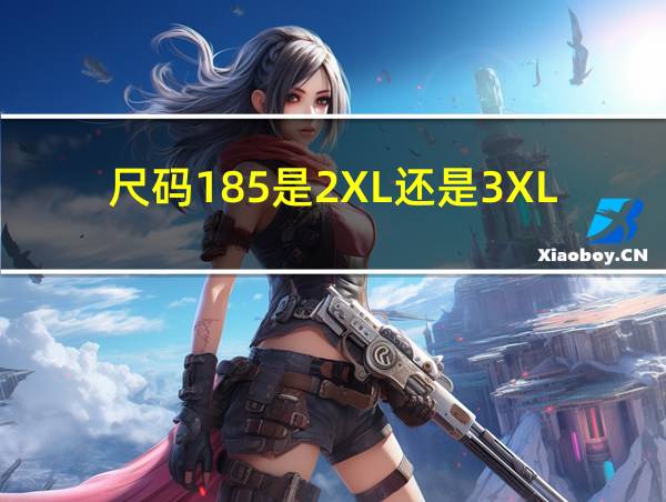 尺码185是2XL还是3XL的相关图片