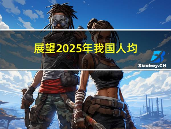 展望2025年我国人均的相关图片