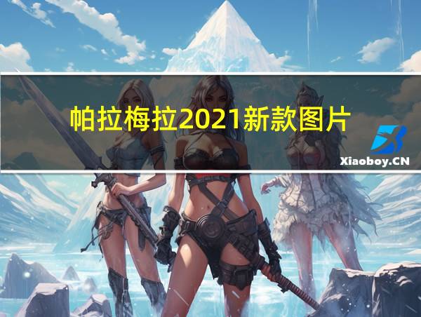 帕拉梅拉2021新款图片的相关图片