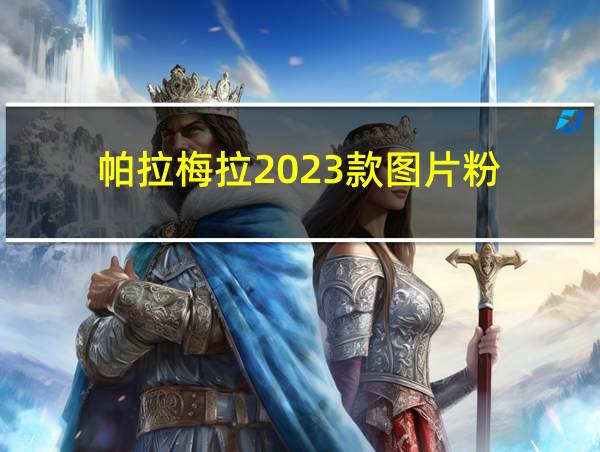 帕拉梅拉2023款图片粉的相关图片