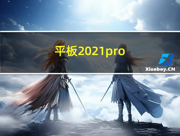 平板2021pro的相关图片