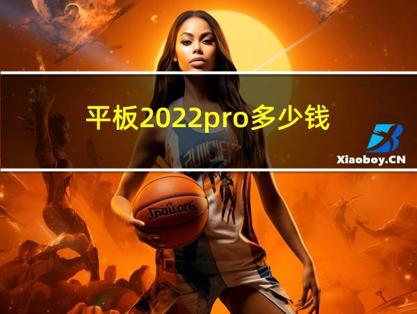 平板2022pro多少钱的相关图片