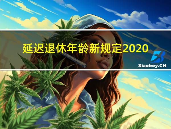 延迟退休年龄新规定2020的相关图片