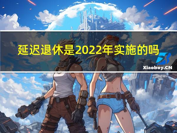 延迟退休是2022年实施的吗的相关图片