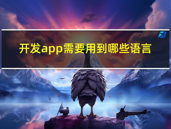 开发app需要用到哪些语言的相关图片