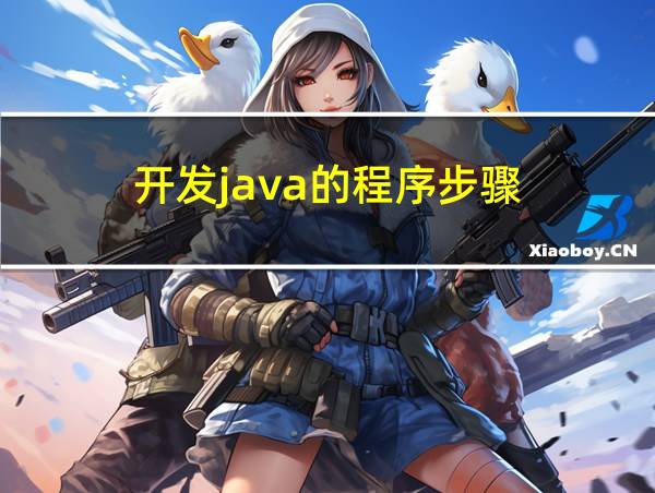 开发java的程序步骤的相关图片