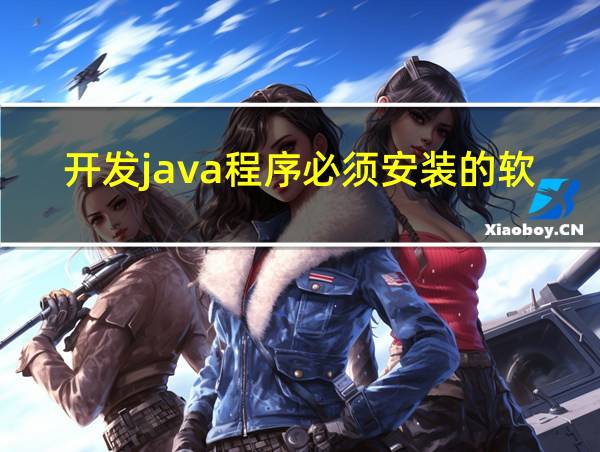 开发java程序必须安装的软件的相关图片