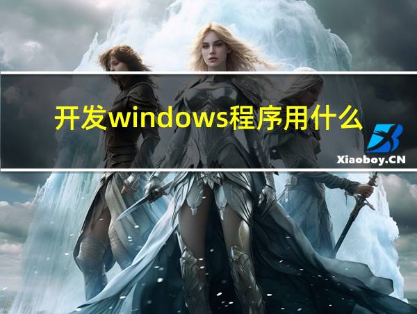 开发windows程序用什么语言的相关图片