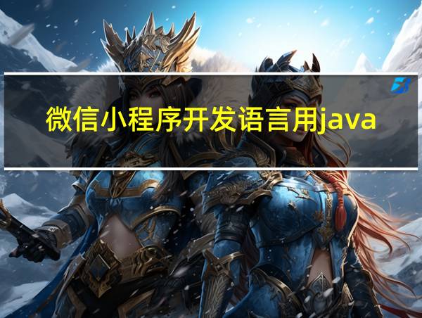 微信小程序开发语言用java的相关图片