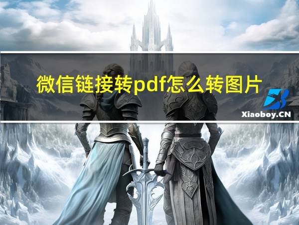 微信链接转pdf怎么转图片的相关图片