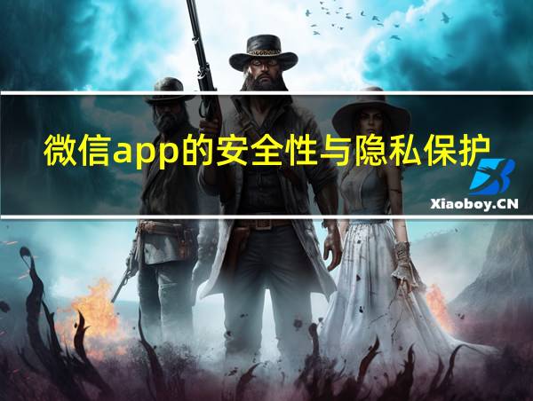 微信app的安全性与隐私保护的相关图片