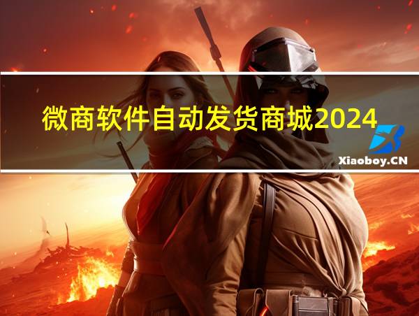 微商软件自动发货商城2024款的相关图片