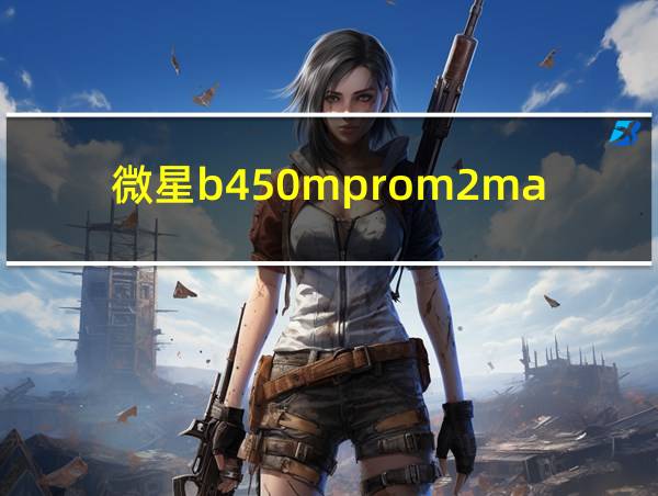 微星b450mprom2max的相关图片