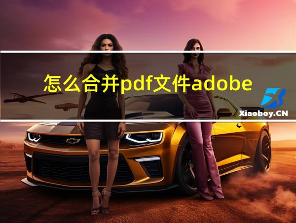 怎么合并pdf文件adobe的相关图片