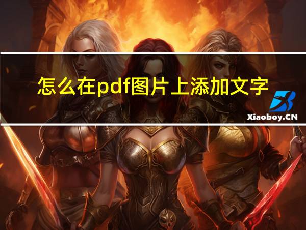 怎么在pdf图片上添加文字的相关图片