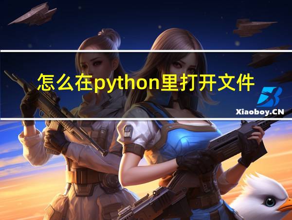 怎么在python里打开文件的相关图片