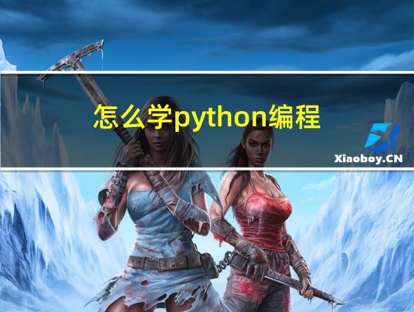 怎么学python编程的相关图片