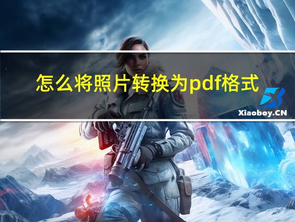 怎么将照片转换为pdf格式的相关图片