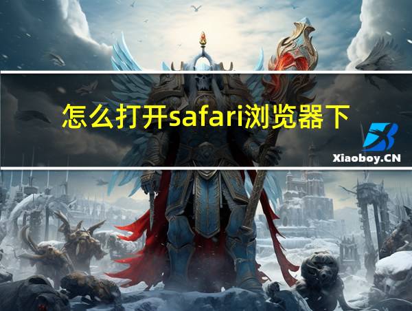 怎么打开safari浏览器下载的文件的相关图片