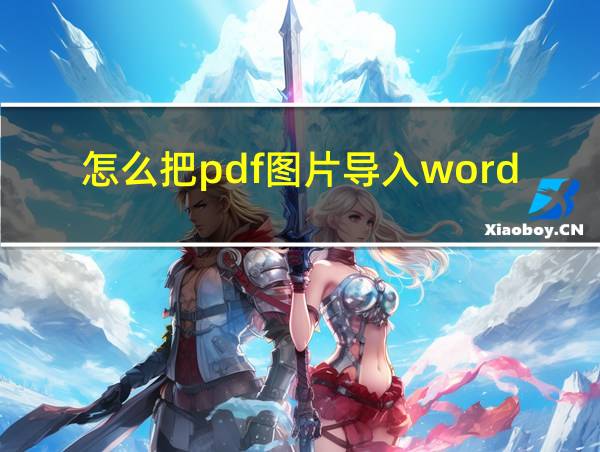 怎么把pdf图片导入word文档的相关图片