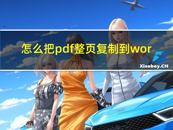 怎么把pdf整页复制到word的相关图片