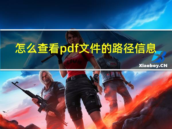 怎么查看pdf文件的路径信息的相关图片