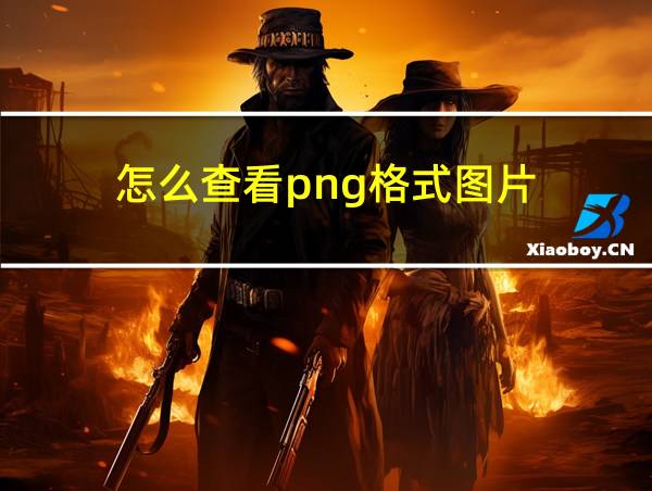 怎么查看png格式图片的相关图片