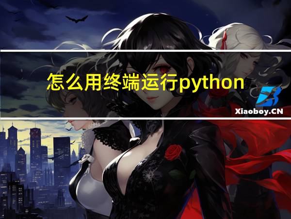 怎么用终端运行python的相关图片