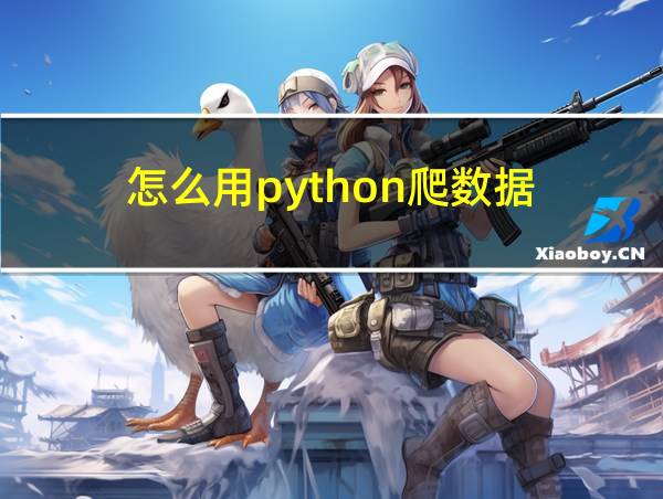 怎么用python爬数据的相关图片