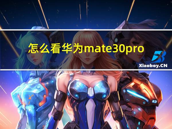 怎么看华为mate30pro屏幕供应商的相关图片