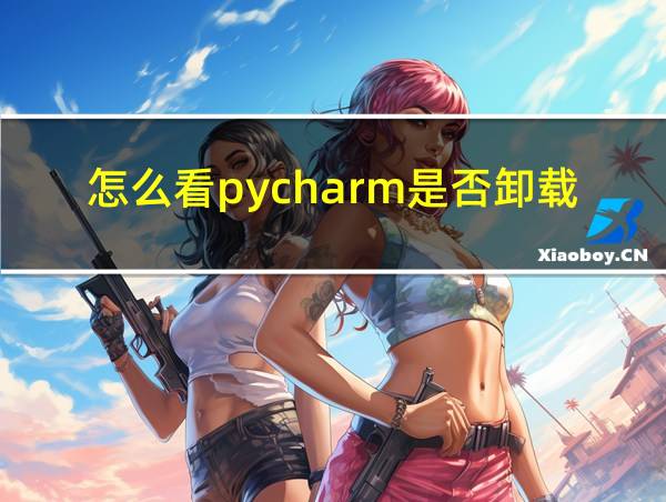 怎么看pycharm是否卸载干净的相关图片