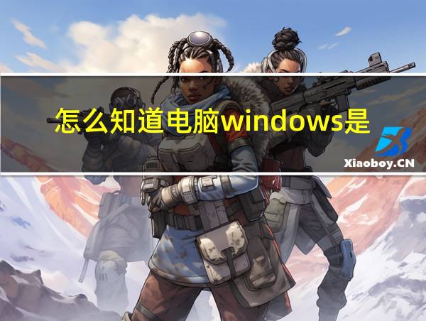 怎么知道电脑windows是否激活的相关图片