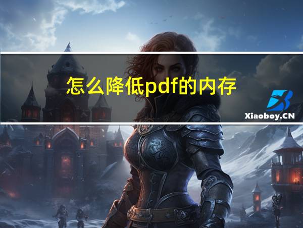 怎么降低pdf的内存的相关图片