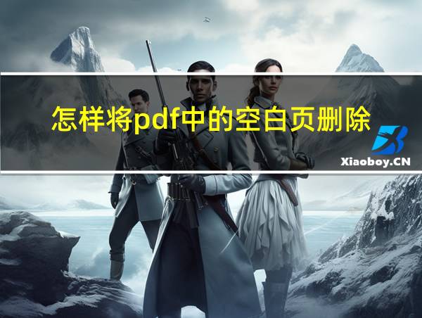 怎样将pdf中的空白页删除的相关图片