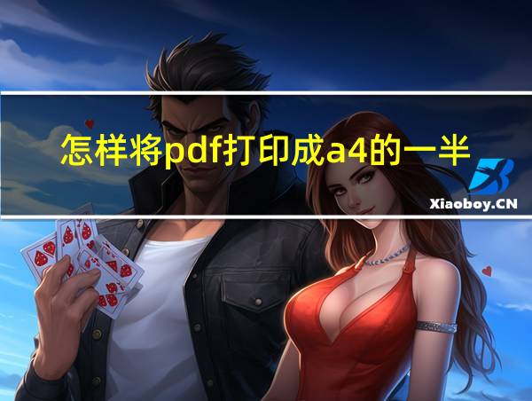 怎样将pdf打印成a4的一半的相关图片