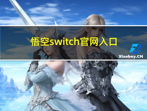 悟空switch官网入口的相关图片