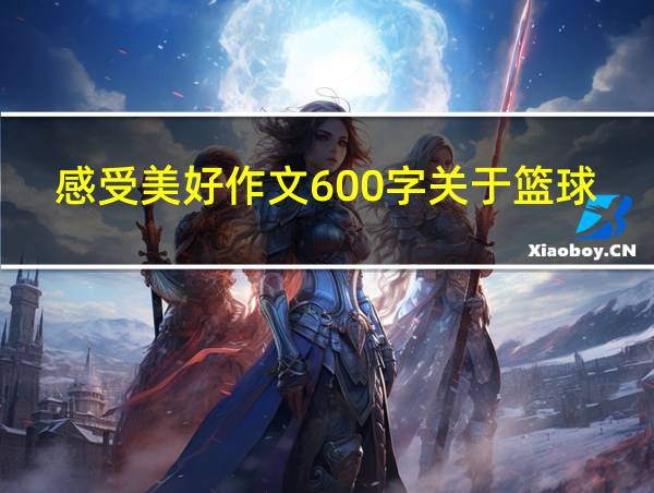 感受美好作文600字关于篮球的相关图片