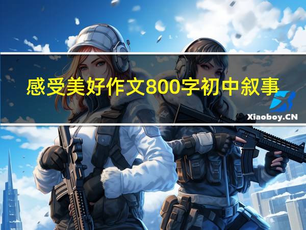 感受美好作文800字初中叙事的相关图片