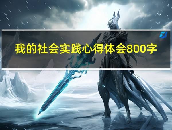 我的社会实践心得体会800字的相关图片