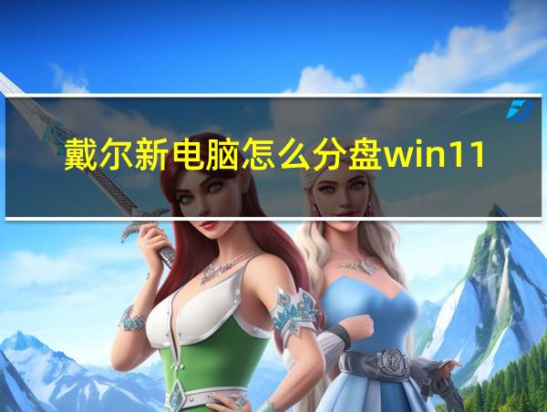 戴尔新电脑怎么分盘win11的相关图片