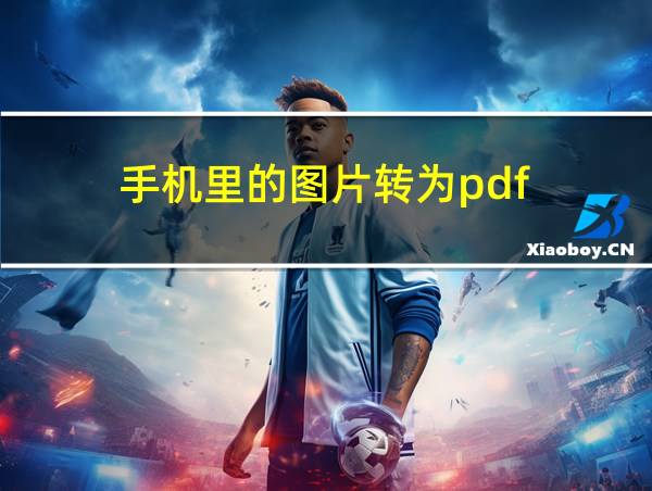 手机里的图片转为pdf的相关图片