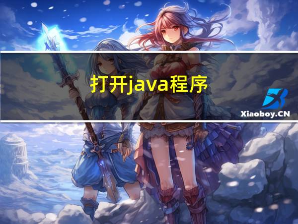 打开java程序的相关图片