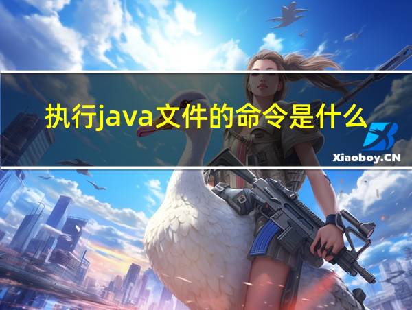 执行java文件的命令是什么的相关图片