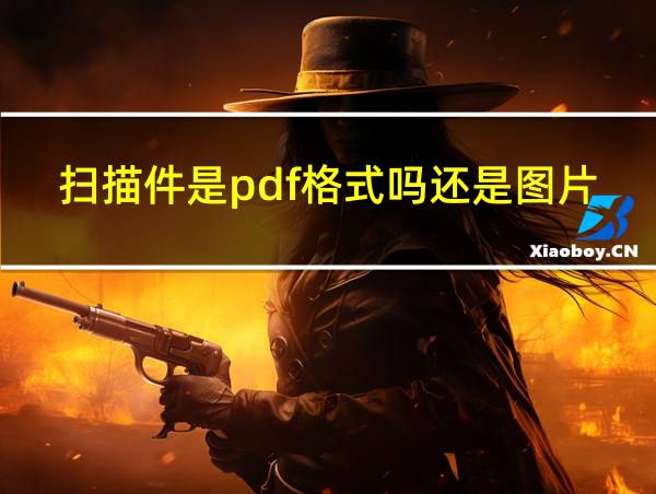 扫描件是pdf格式吗还是图片的相关图片