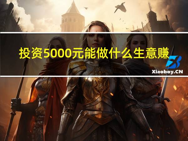 投资5000元能做什么生意赚钱的相关图片