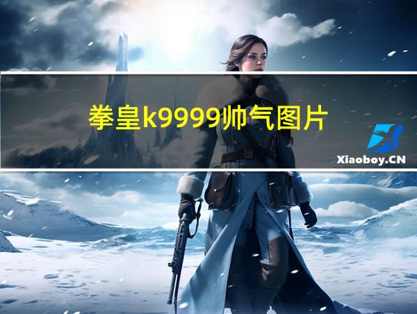 拳皇k9999帅气图片的相关图片