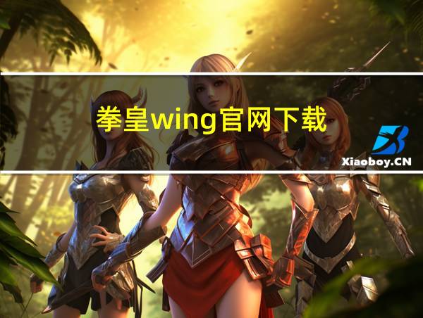 拳皇wing官网下载的相关图片